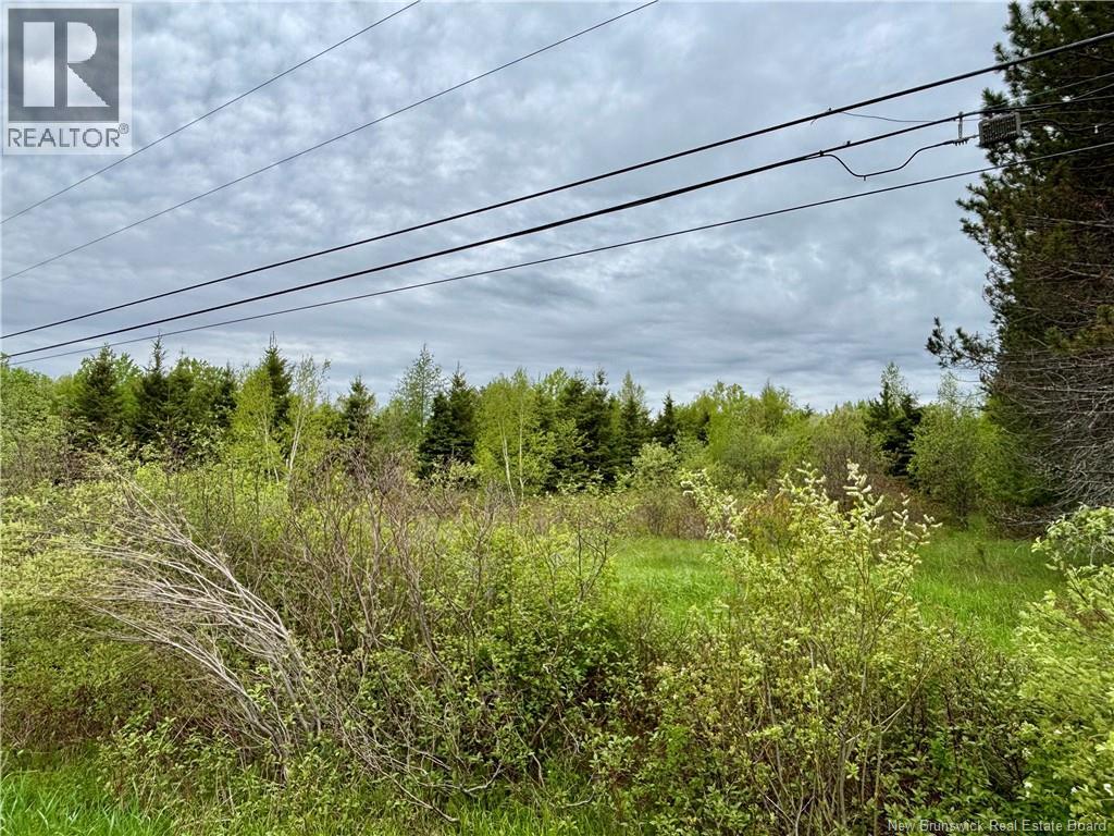 32.6 Acres Rte 160, Saint-Isidore, New Brunswick E8M 1A9 - Photo 5 - NB141558