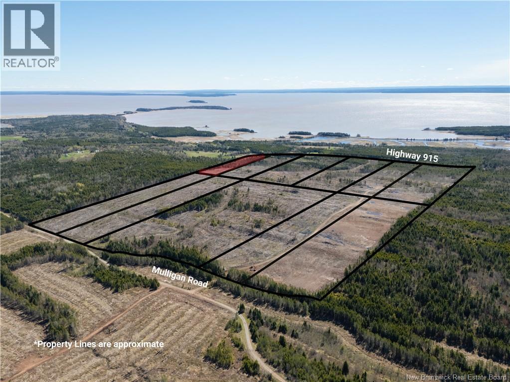 Lot 11 Route 915, Upper New Horton, New Brunswick  E4H 3T4 - Photo 4 - NB141529