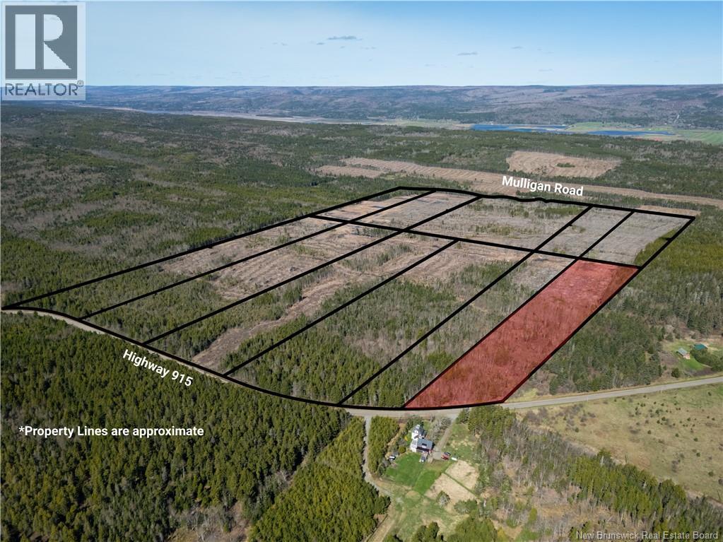 Lot 11 Route 915, Upper New Horton, New Brunswick  E4H 3T4 - Photo 8 - NB141529