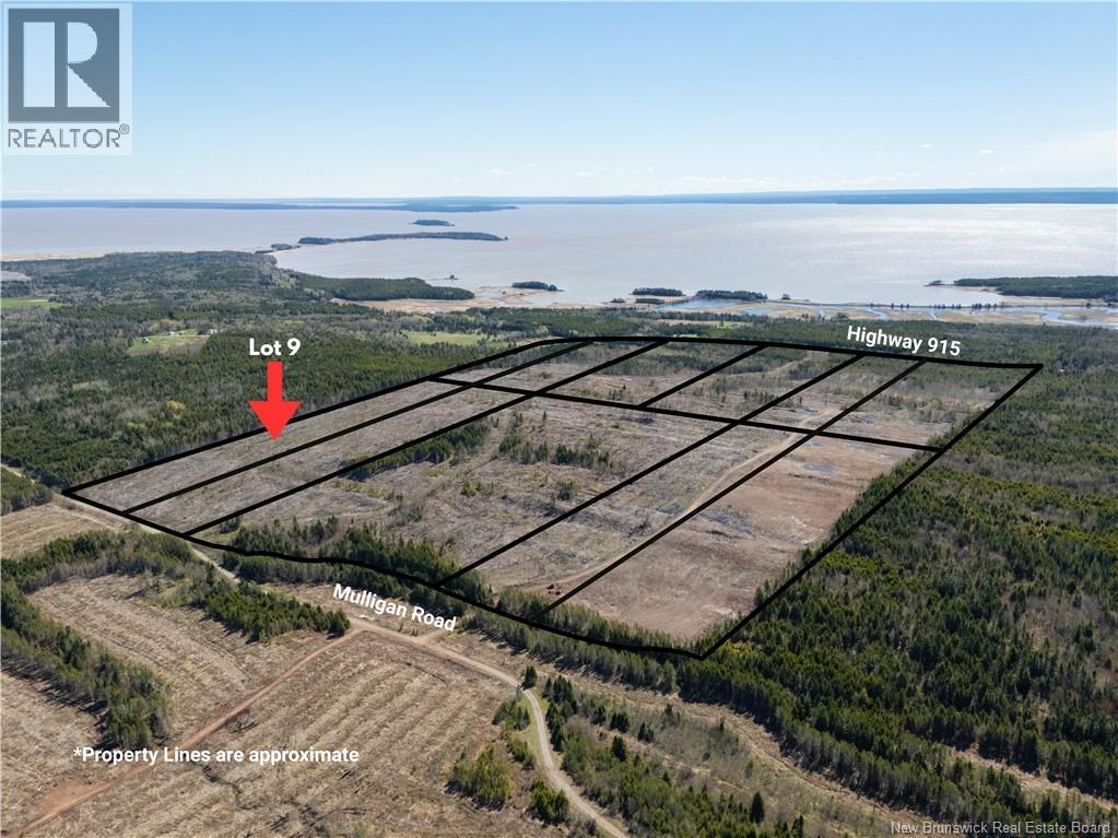 Lot 9 Route 915, Upper New Horton, New Brunswick  E4H 3T4 - Photo 3 - NB141523