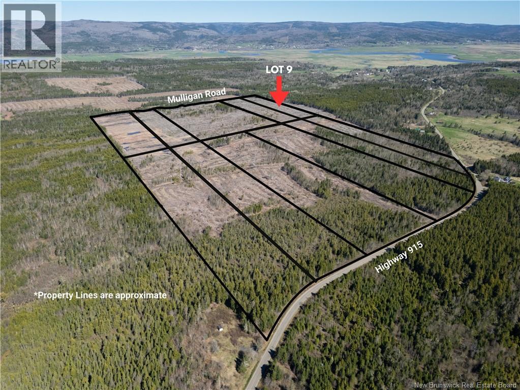 Lot 9 Route 915, Upper New Horton, New Brunswick  E4H 3T4 - Photo 5 - NB141523