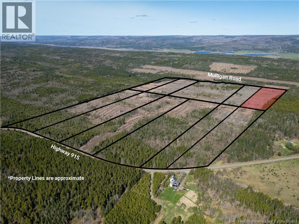 Lot 9 Route 915, Upper New Horton, New Brunswick  E4H 3T4 - Photo 8 - NB141523