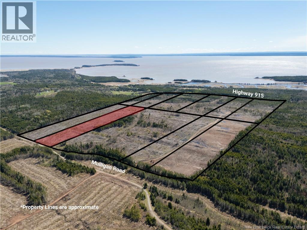 Lot 8 Route 915, Upper New Horton, New Brunswick  E4H 3T4 - Photo 4 - NB141452