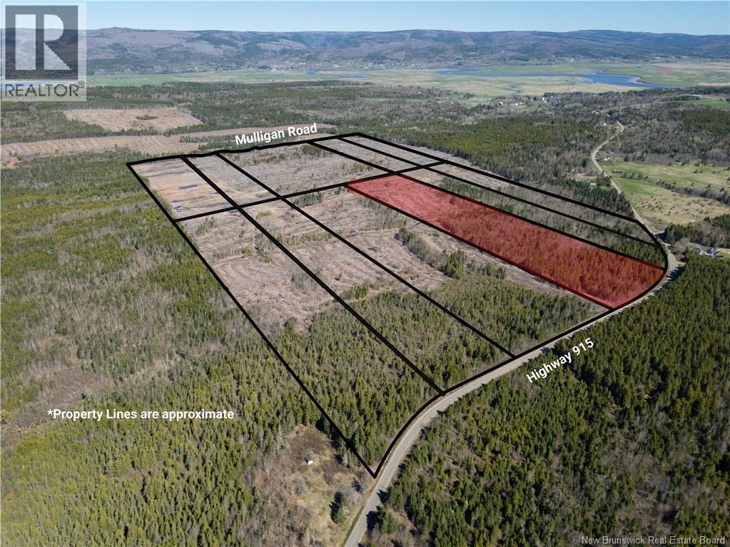 Lot 7 Route 915, Upper New Horton, New Brunswick  E4H 3T4 - Photo 6 - NB141535