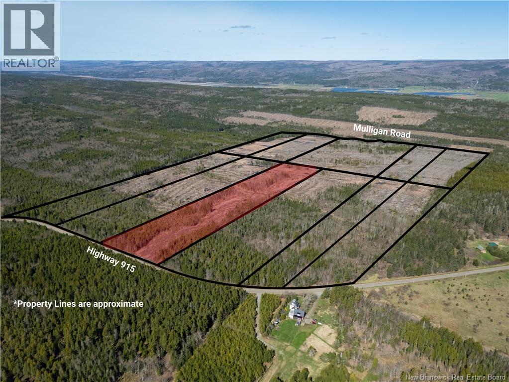 Lot 6 Route 915, Upper New Horton, New Brunswick  E3H 3T4 - Photo 8 - NB141533