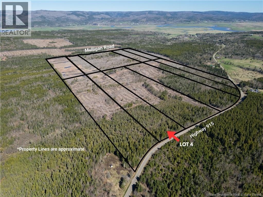 Lot 4 Route 915, Upper New Horton, New Brunswick E4H 3T4 - Photo 5 - NB141521