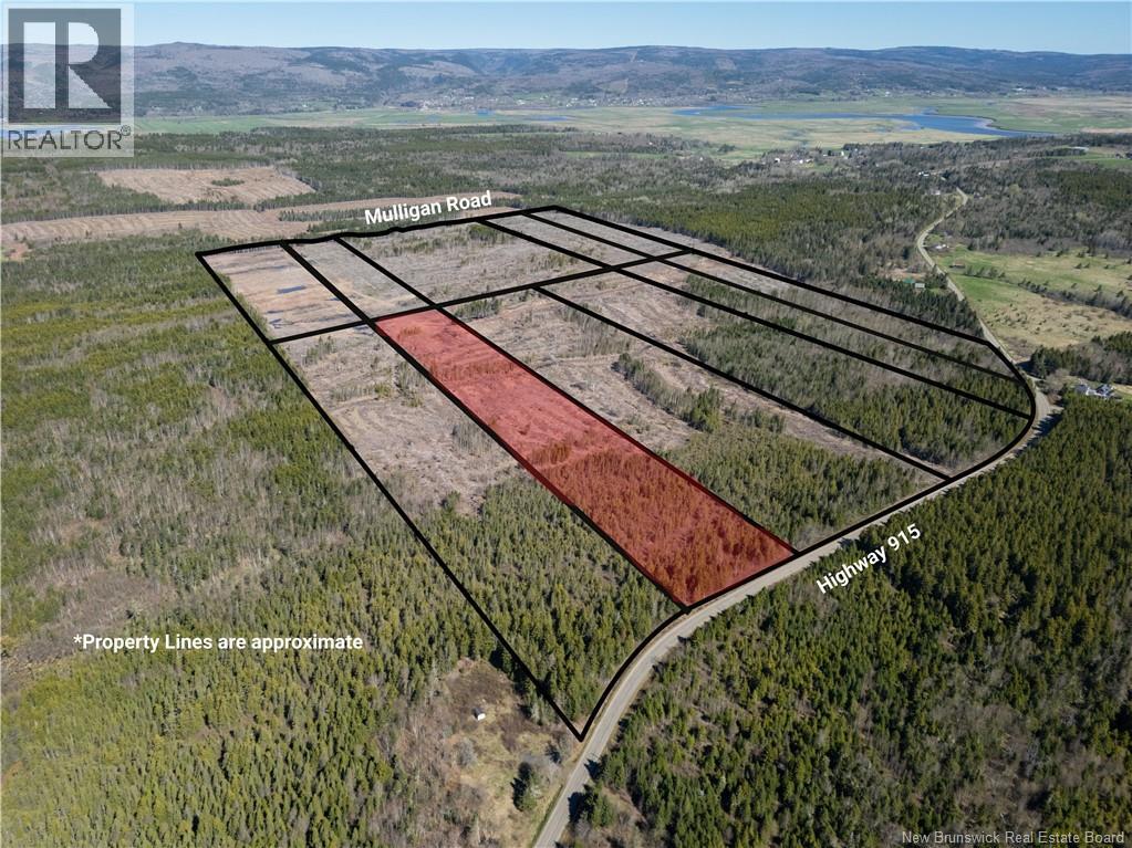 Lot 4 Route 915, Upper New Horton, New Brunswick E4H 3T4 - Photo 6 - NB141521