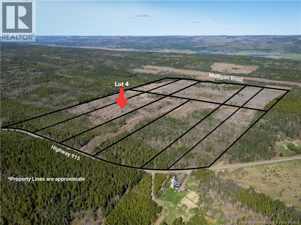 Lot 4 Route 915, Upper New Horton, New Brunswick E4H 3T4 - Photo 7 - NB141521
