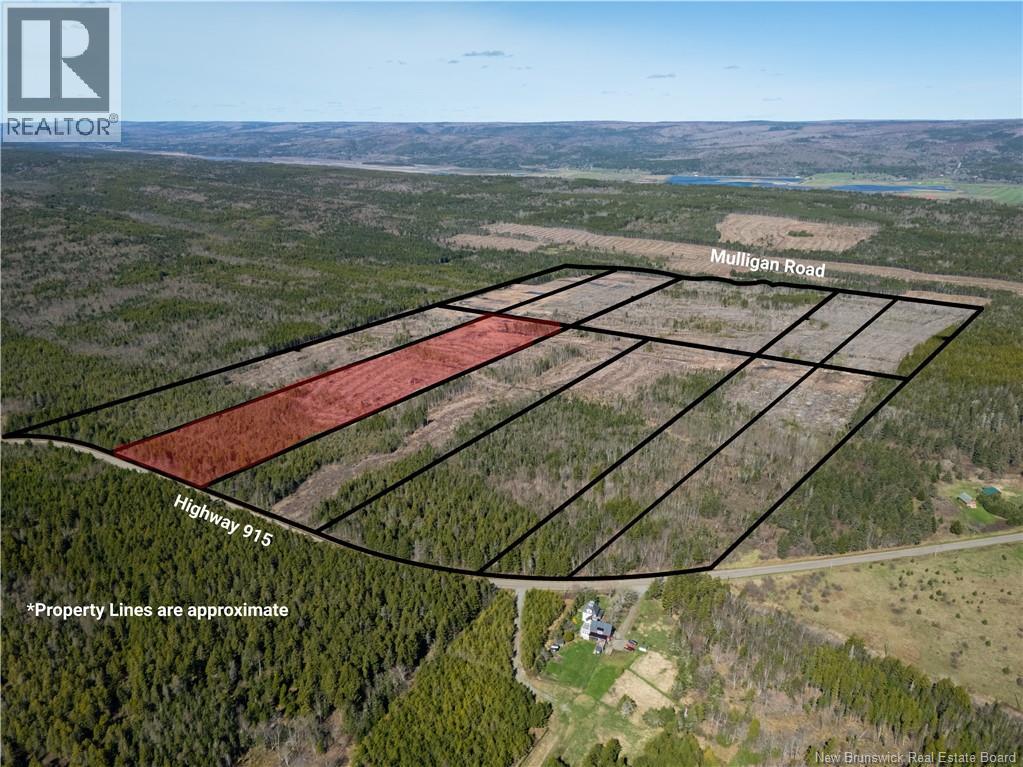 Lot 4 Route 915, Upper New Horton, New Brunswick E4H 3T4 - Photo 8 - NB141521