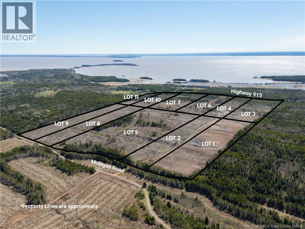 Lot 4 Route 915, Upper New Horton, New Brunswick E4H 3T4 - Photo 9 - NB141521