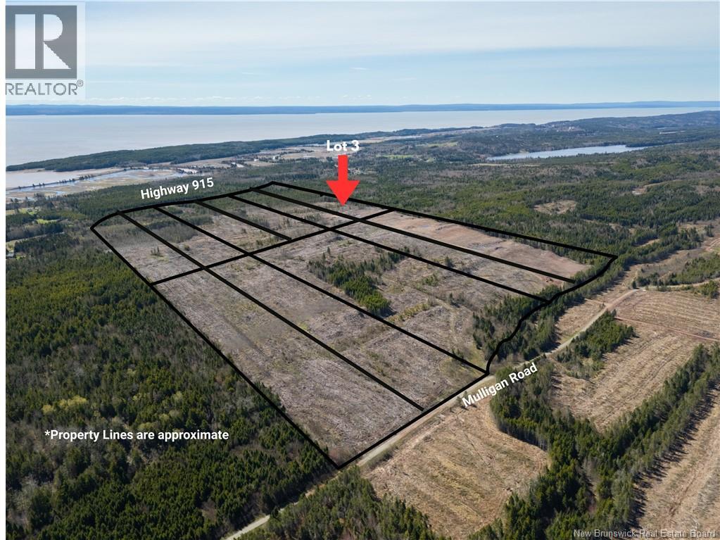 Lot 3 Route 915, Upper New Horton, New Brunswick  E4H 3T4 - Photo 3 - NB141518