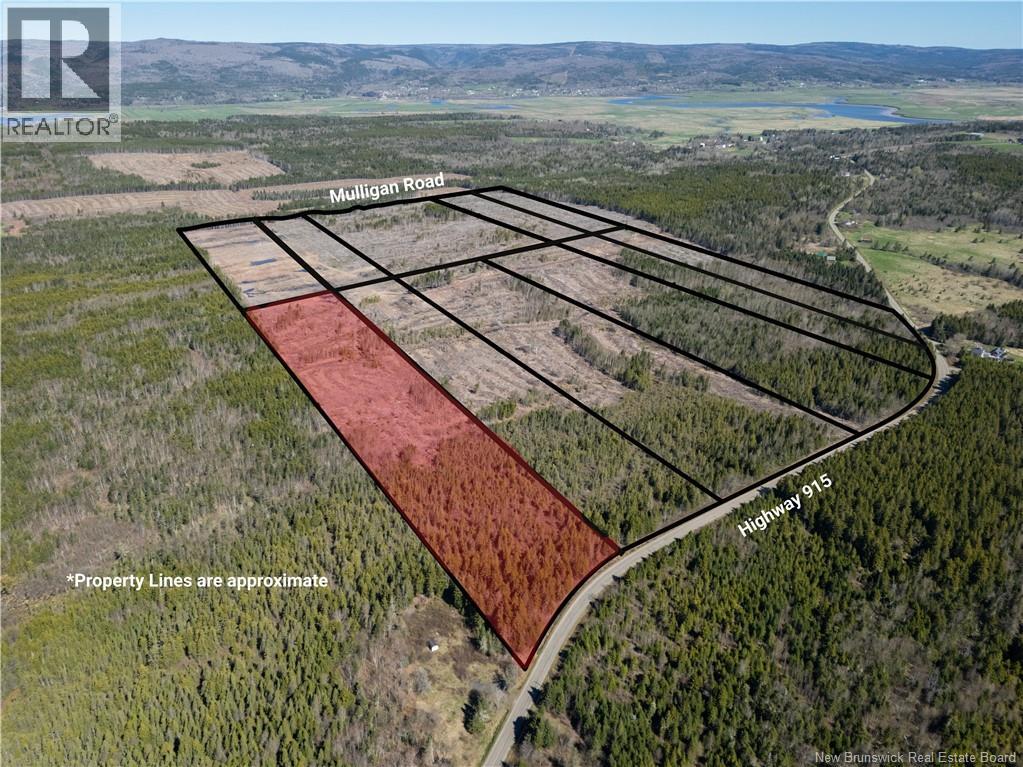 Lot 3 Route 915, Upper New Horton, New Brunswick  E4H 3T4 - Photo 6 - NB141518