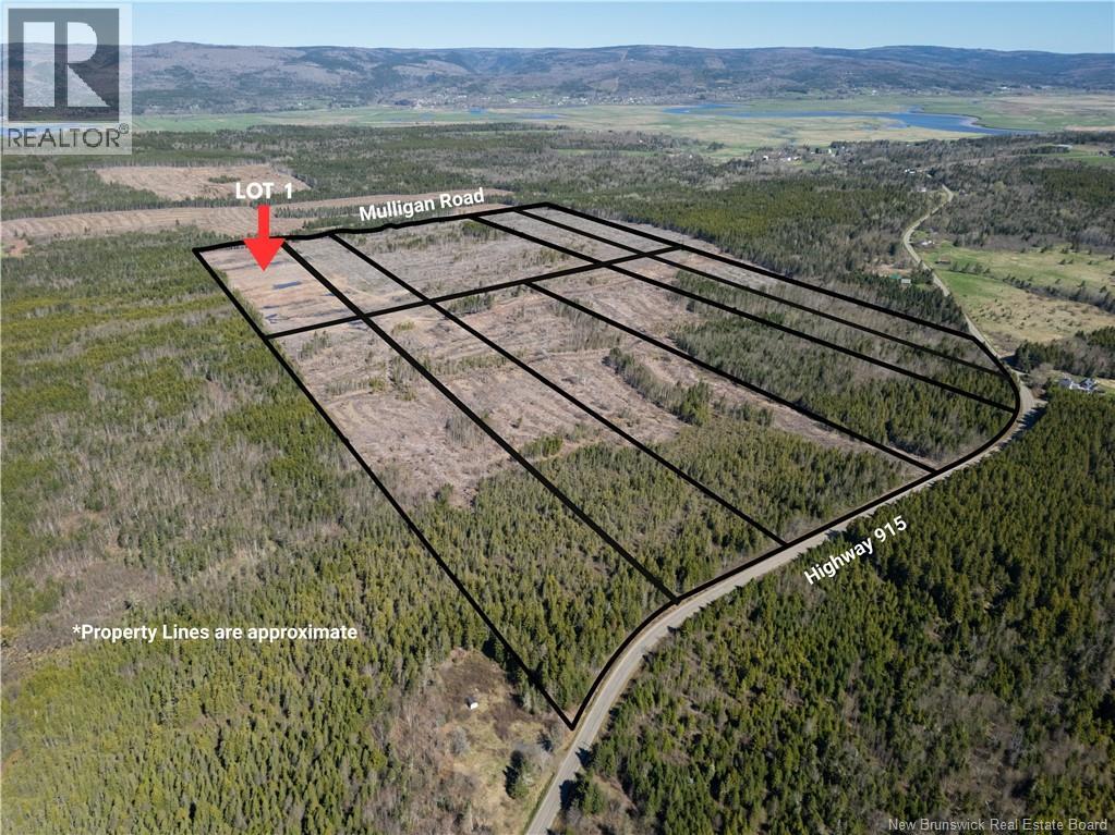 Lot 1 Route 915, Upper New Horton, New Brunswick  E4H 3T4 - Photo 5 - NB141453