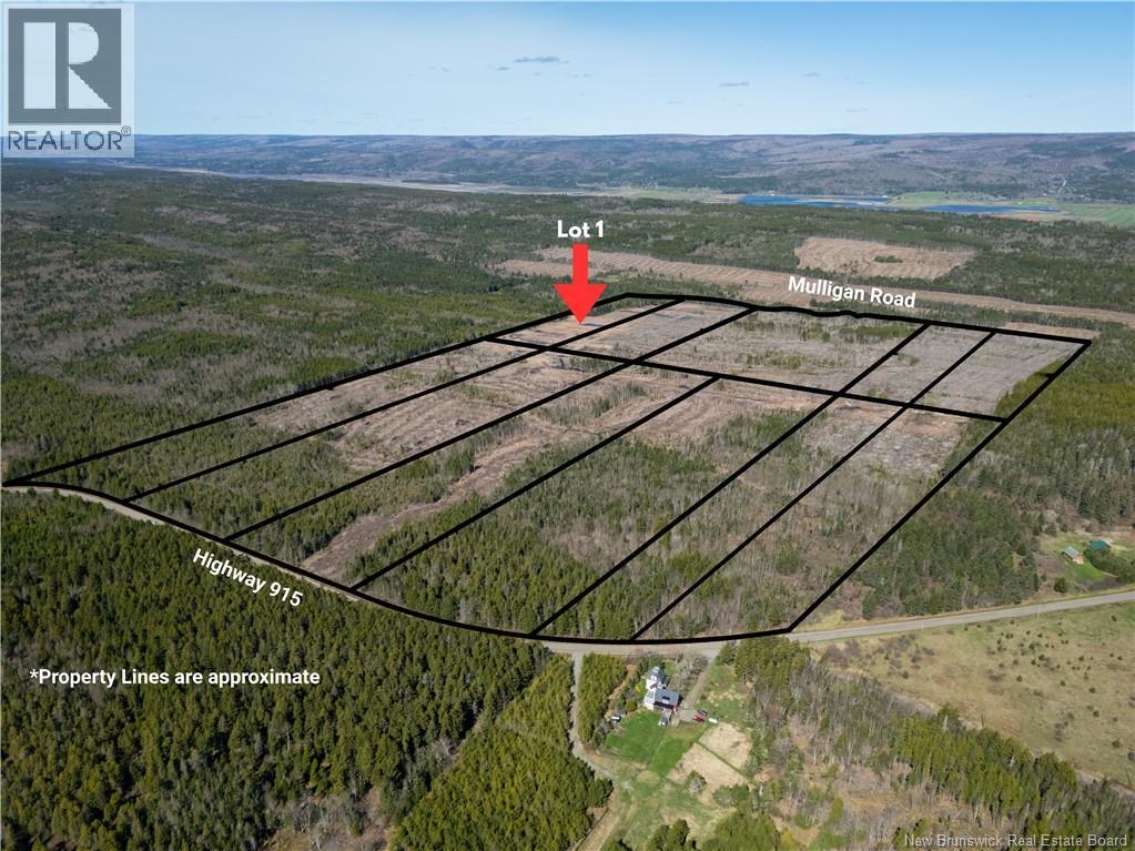 Lot 1 Route 915, Upper New Horton, New Brunswick  E4H 3T4 - Photo 7 - NB141453