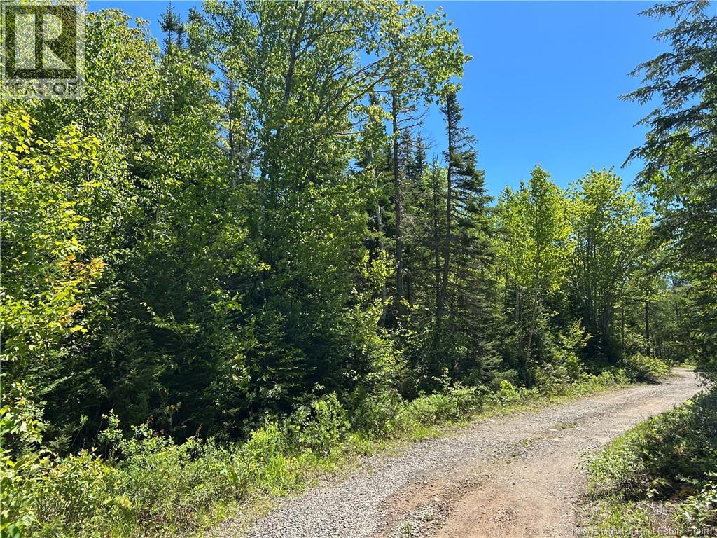 Lot Nelson Lake Road, Grand Bay-Westfield, New Brunswick  E5K 4W2 - Photo 1 - NB141002
