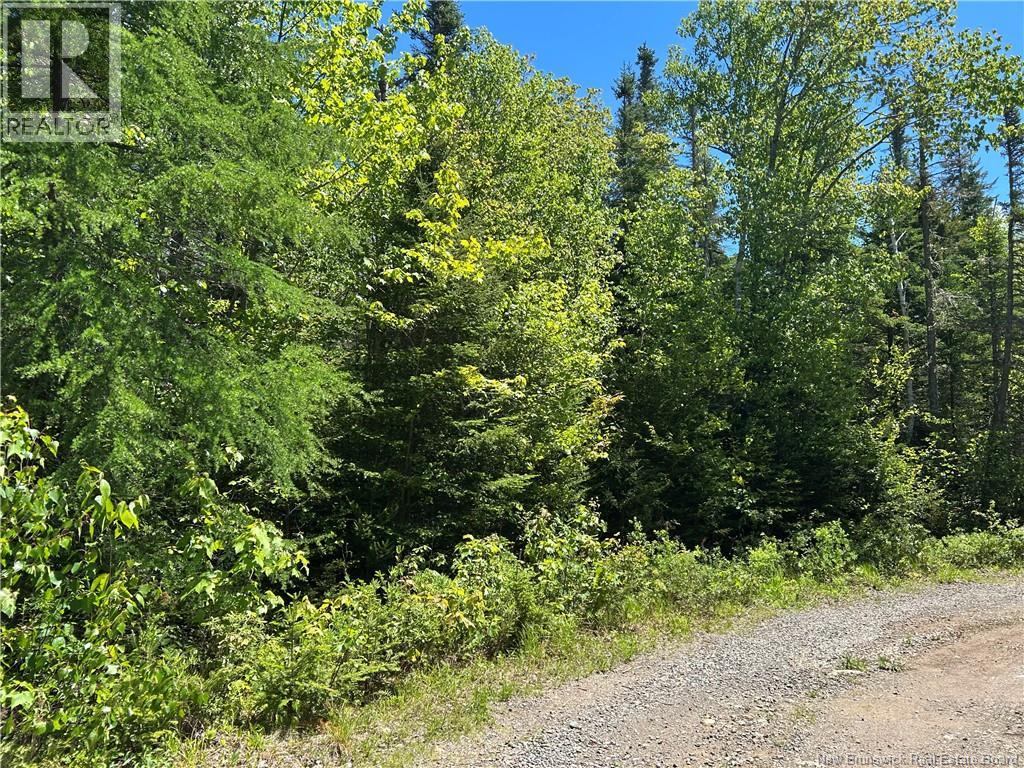 Lot Nelson Lake Road, Grand Bay-Westfield, New Brunswick  E5K 4W2 - Photo 2 - NB141002