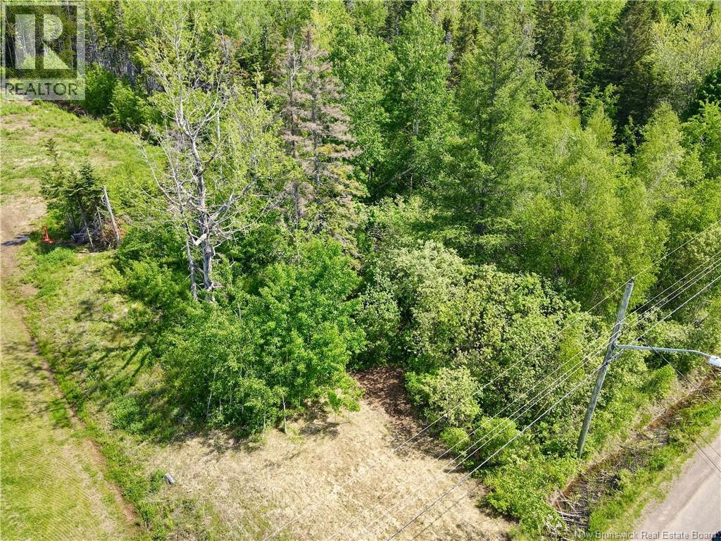 Lot Beaverbrook Road, Grande-Digue, New Brunswick  E4R 3W4 - Photo 4 - NB140963