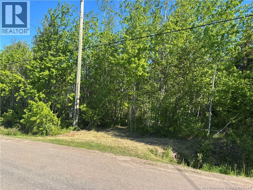 Lot Beaverbrook Road, Grande-Digue, New Brunswick  E4R 3W4 - Photo 7 - NB141605