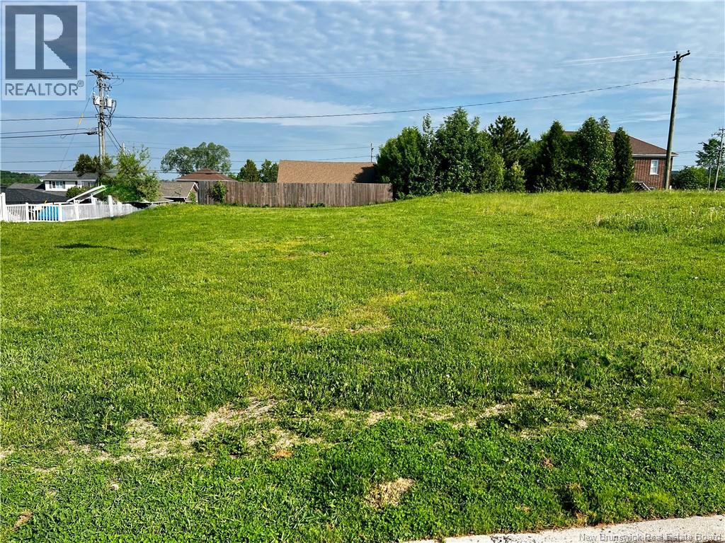 326 Broadway Boulevard, Grand Falls, New Brunswick  E3Z 2K4 - Photo 5 - NB141473