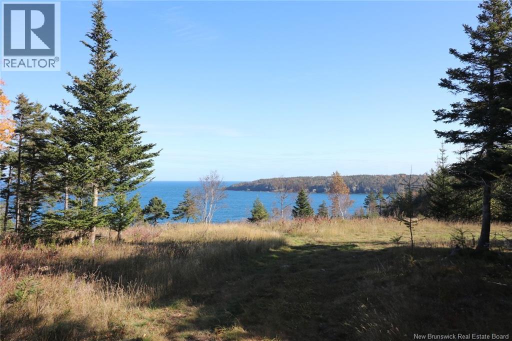 Lot 10-04 Golden Mile Drive, Grand Manan, New Brunswick  E5G 1N1 - Photo 26 - NB141651