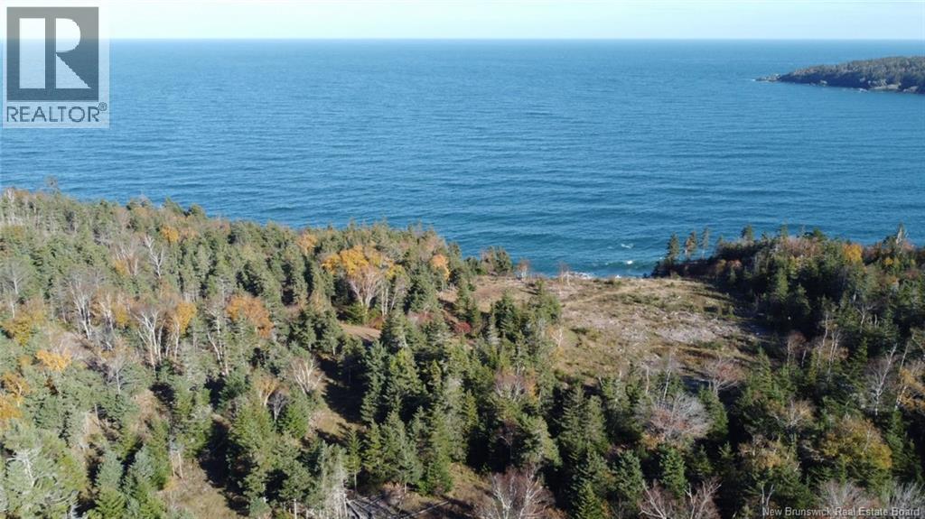 Lot 10-04 Golden Mile Drive, Grand Manan, New Brunswick  E5G 1N1 - Photo 7 - NB141651