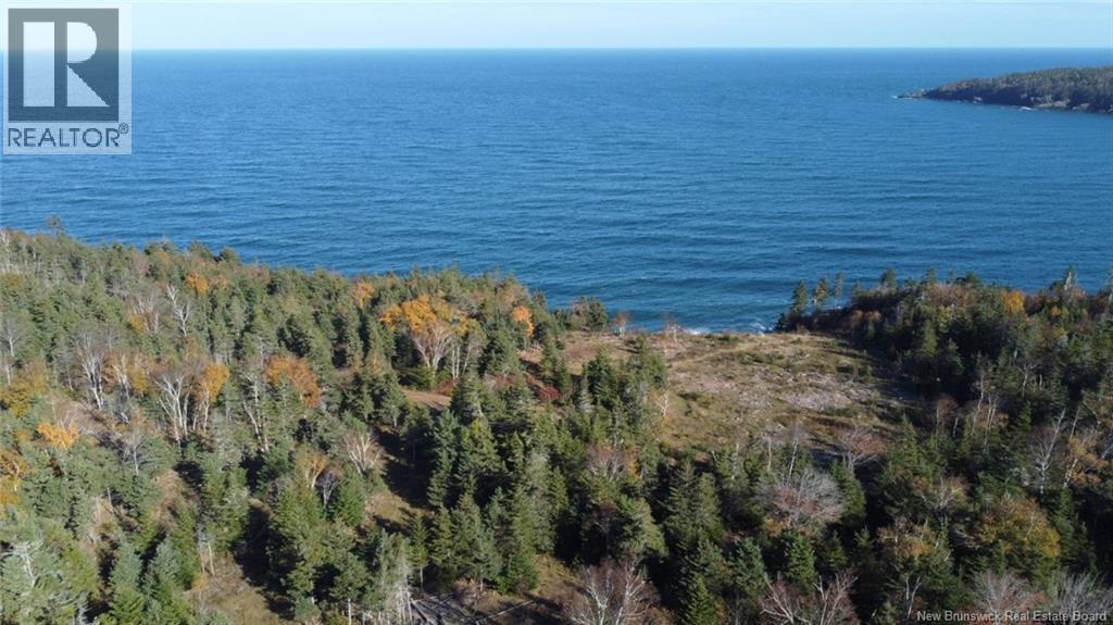 Lot 10-04 Golden Mile Drive, Grand Manan, New Brunswick  E5G 1N1 - Photo 8 - NB141651