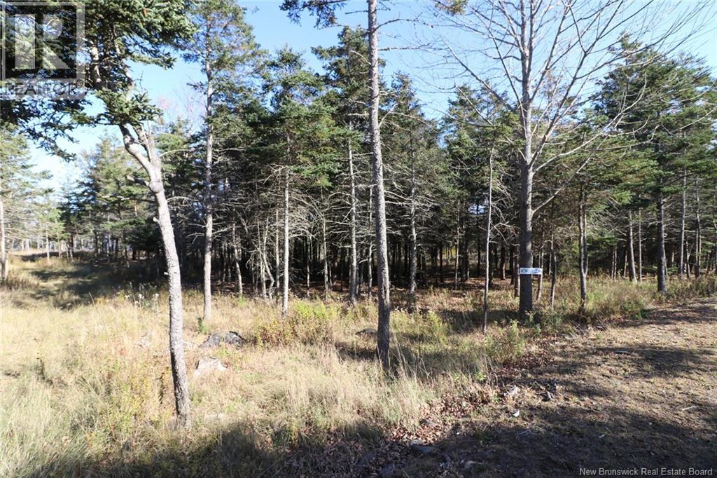 Lot 10-03 Golden Mile Drive, Grand Manan, New Brunswick  E5G 1N1 - Photo 14 - NB141648