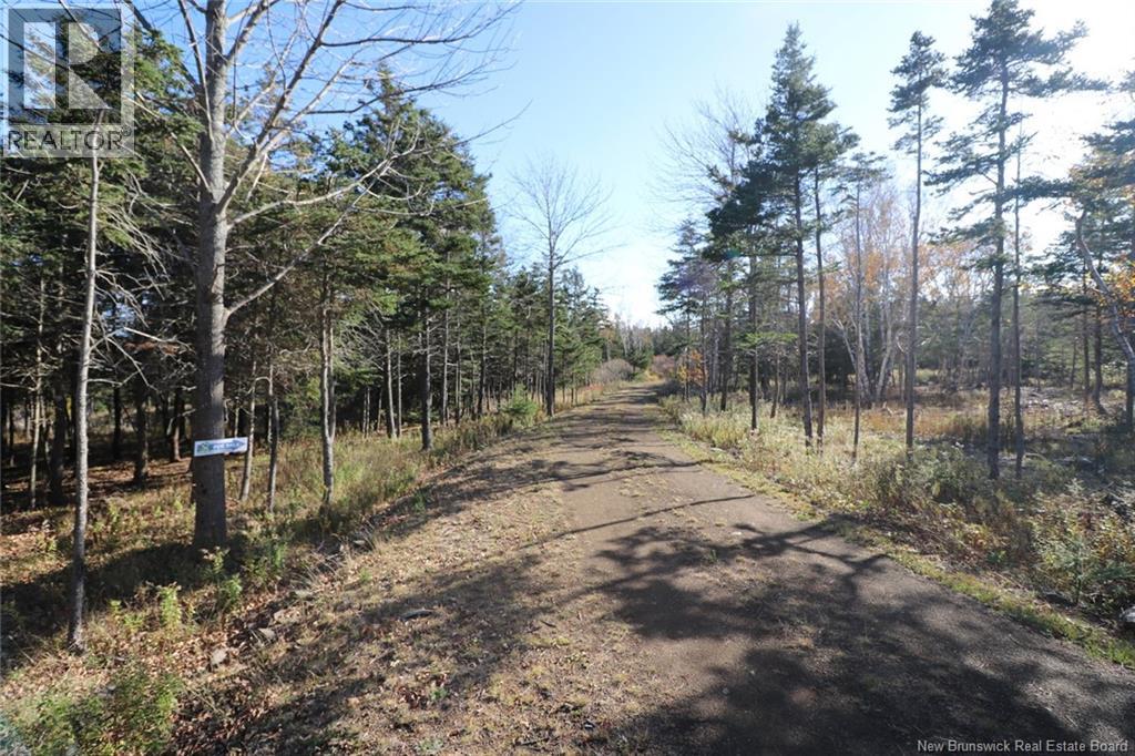 Lot 10-03 Golden Mile Drive, Grand Manan, New Brunswick  E5G 1N1 - Photo 15 - NB141648