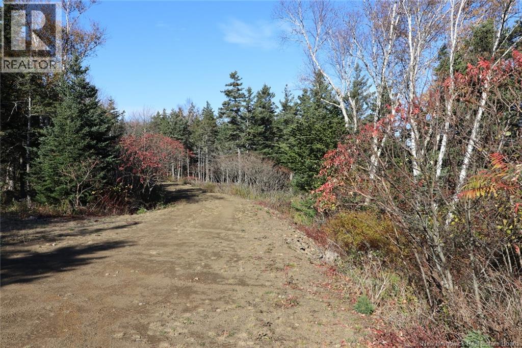 Lot 10-03 Golden Mile Drive, Grand Manan, New Brunswick  E5G 1N1 - Photo 22 - NB141648