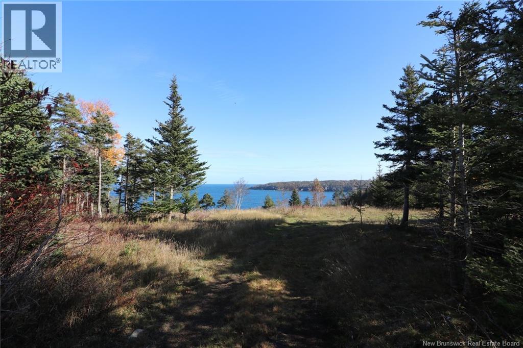 Lot 10-03 Golden Mile Drive, Grand Manan, New Brunswick  E5G 1N1 - Photo 23 - NB141648