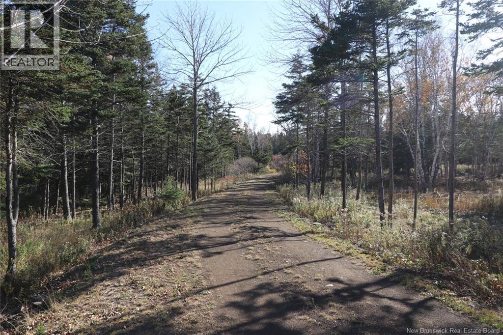 Lot 10-02 Golden Mile Drive, Grand Manan, New Brunswick  E5G 1N1 - Photo 16 - NB141645