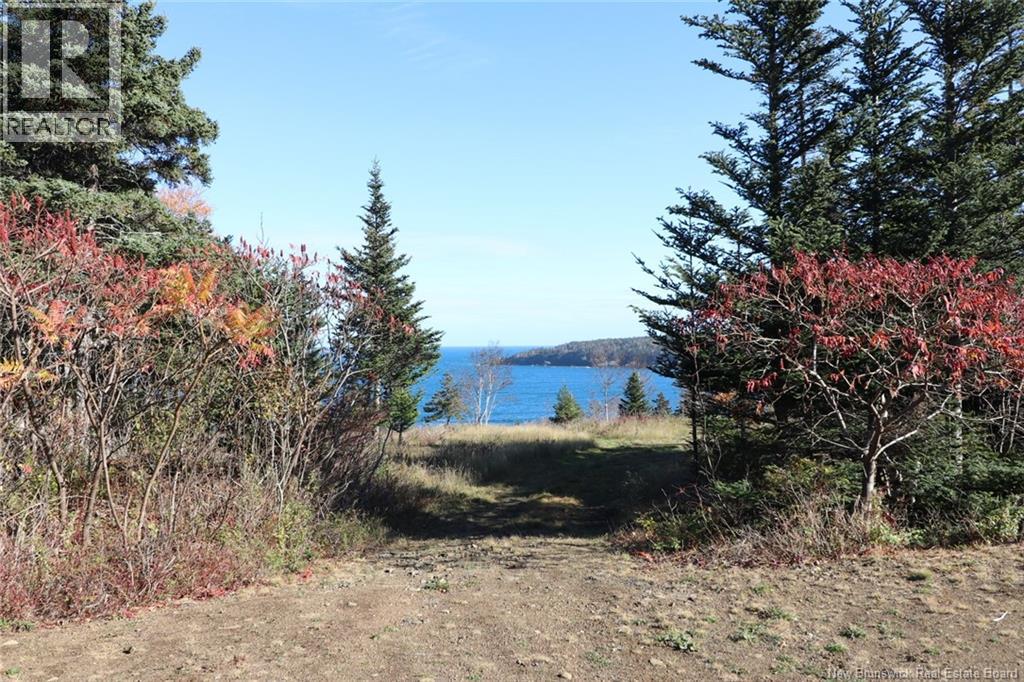 Lot 10-02 Golden Mile Drive, Grand Manan, New Brunswick  E5G 1N1 - Photo 19 - NB141645