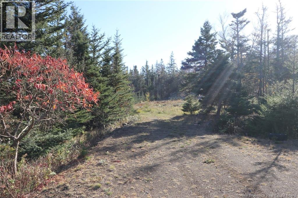 Lot 10-01 Golden Mile Drive, Grand Manan, New Brunswick  E5G 1N1 - Photo 21 - NB141569