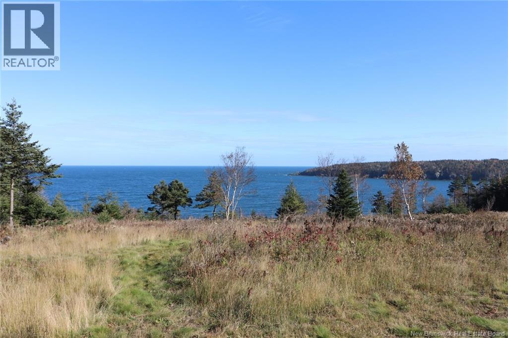 Lot 10-01 Golden Mile Drive, Grand Manan, New Brunswick  E5G 1N1 - Photo 25 - NB141569