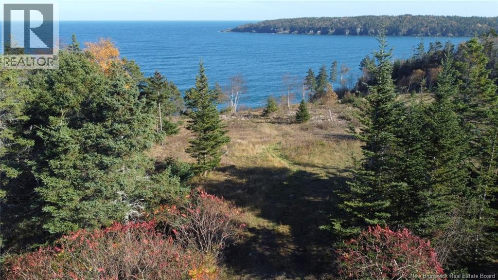 Lot 10-06 Golden Mile Drive, Grand Manan, New Brunswick  E5G 1N1 - Photo 12 - NB141654