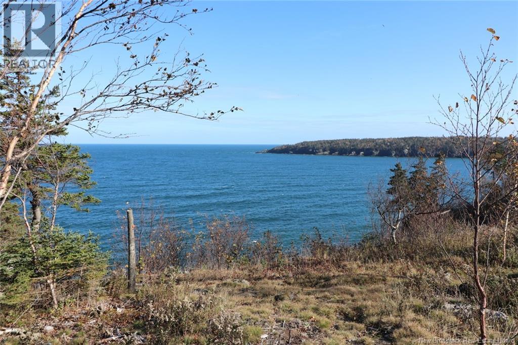 Lot 10-06 Golden Mile Drive, Grand Manan, New Brunswick  E5G 1N1 - Photo 29 - NB141654