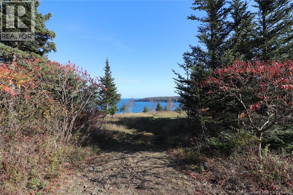 Lot 10-05 Golden Mile Drive, Grand Manan, New Brunswick  E5G 1N1 - Photo 19 - NB141652