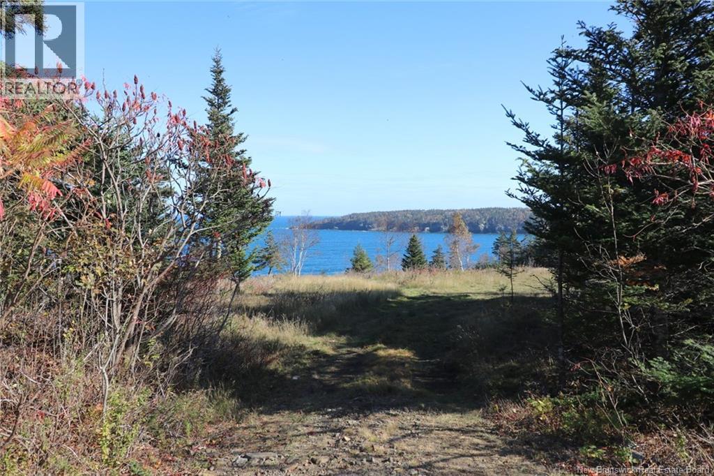 Lot 10-05 Golden Mile Drive, Grand Manan, New Brunswick  E5G 1N1 - Photo 22 - NB141652