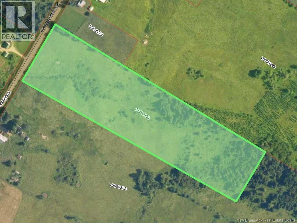 Howland Ridge Road, Millville, New Brunswick  E6E 1P8 - Photo 2 - NB140915