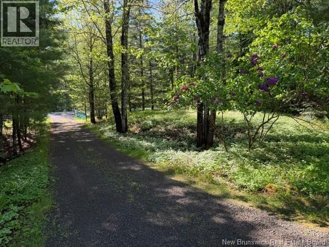 919 Route 905, Pollett River, New Brunswick  E4Z 3B5 - Photo 12 - NB137658