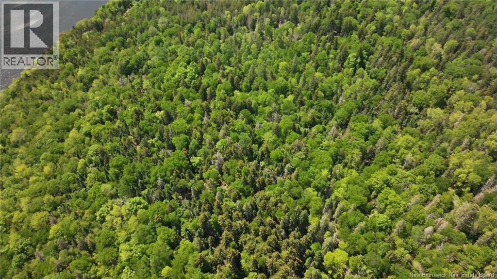 Darlings Island Road, Darlings Island, New Brunswick  E5N 6T4 - Photo 14 - NB141306