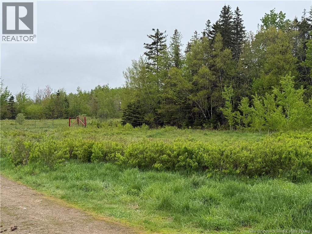 783 West Galloway Road, Galloway, New Brunswick E4W 2P6 - Photo 4 - NB141713