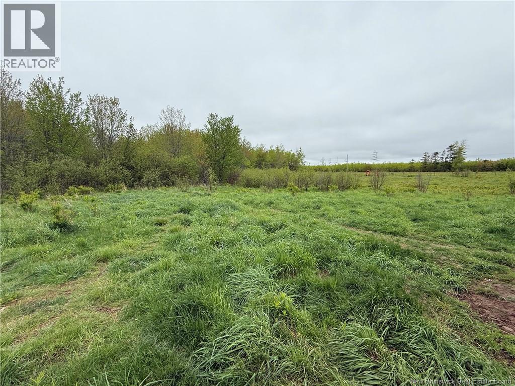 783 West Galloway Road, Galloway, New Brunswick E4W 2P6 - Photo 6 - NB141713