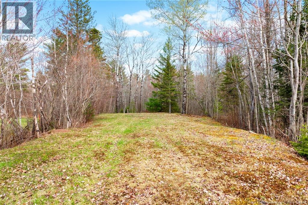 Lot Pleasant Drive, Minto, New Brunswick  E4B 3W1 - Photo 6 - NB141731