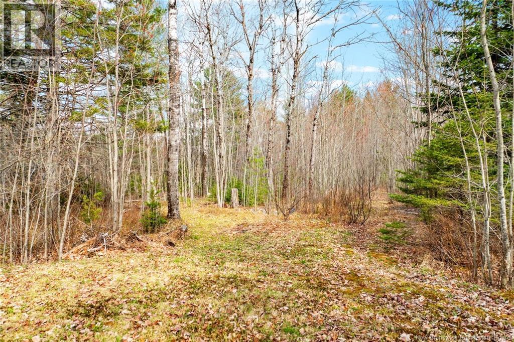 Lot Pleasant Drive, Minto, New Brunswick  E4B 3W1 - Photo 7 - NB141731