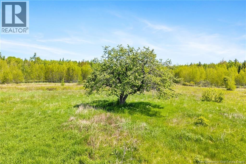 1525 690 Route, Clarks Corner, New Brunswick  E4B 1S6 - Photo 10 - NB141502
