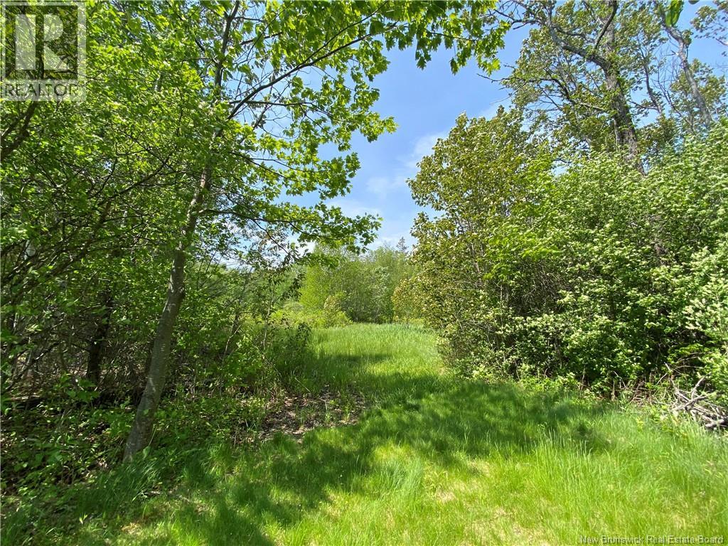 Lot Route 134, Shediac Cape, New Brunswick  E4P 3G9 - Photo 2 - NB141419
