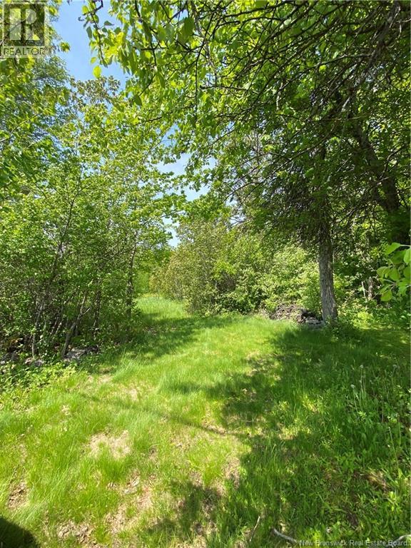 Lot Route 134, Shediac Cape, New Brunswick  E4P 3G9 - Photo 3 - NB141419