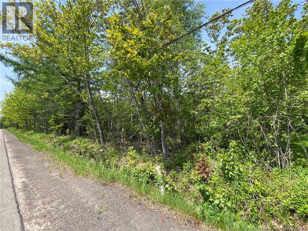 Lot Route 134, Shediac Cape, New Brunswick  E4P 3G9 - Photo 4 - NB141419