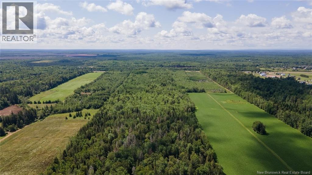 889 Route 133 Road, Boudreau, New Brunswick  E4P 6P4 - Photo 38 - NB141709